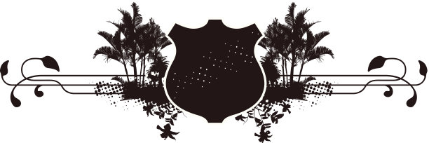 冲浪盾与小棕榈树和木槿图片下载