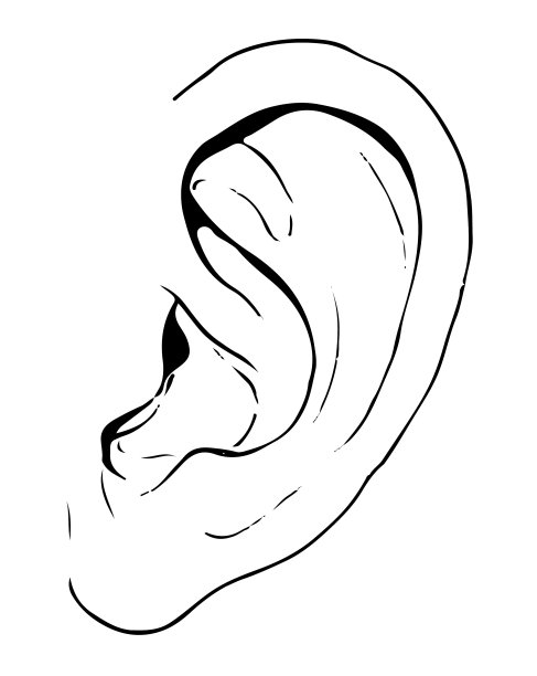 手绘的耳朵图片下载