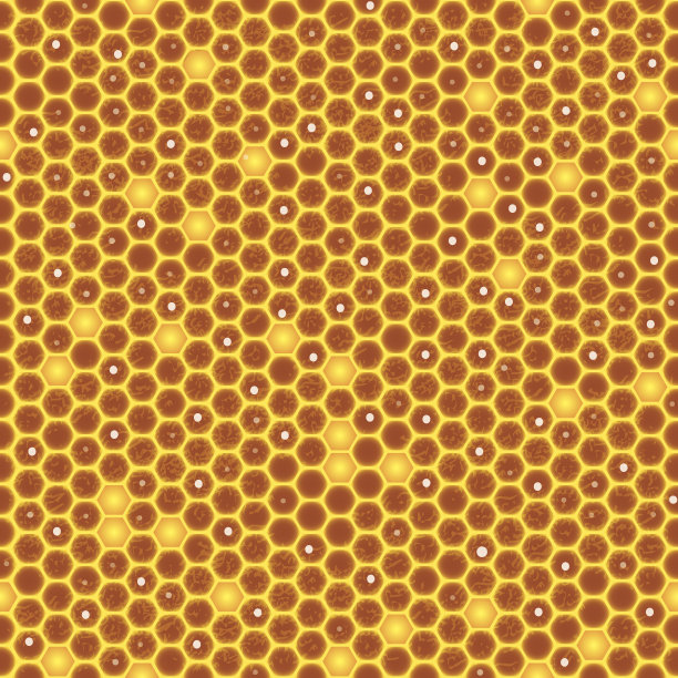 无缝的蜂窝结构图片下载