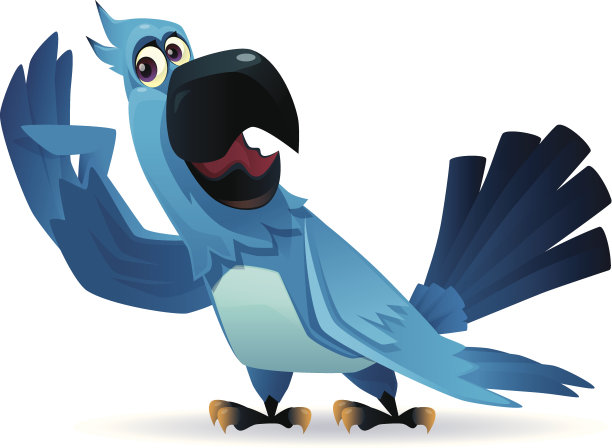 有趣的鹦鹉图片下载