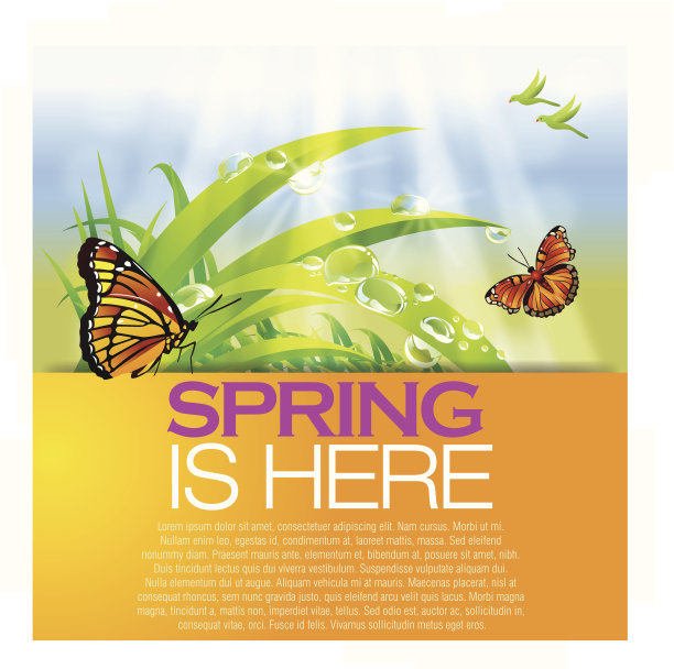 美丽的春天的背景图片下载