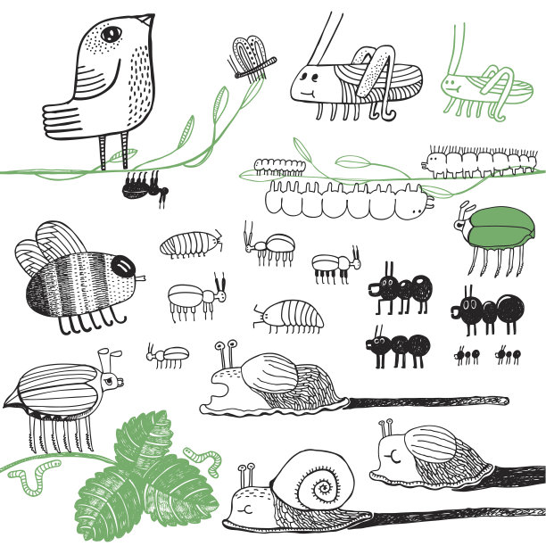 令人毛骨悚然的小爬虫图片下载