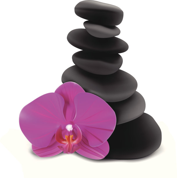 兰花和石头-矢量插图图片下载