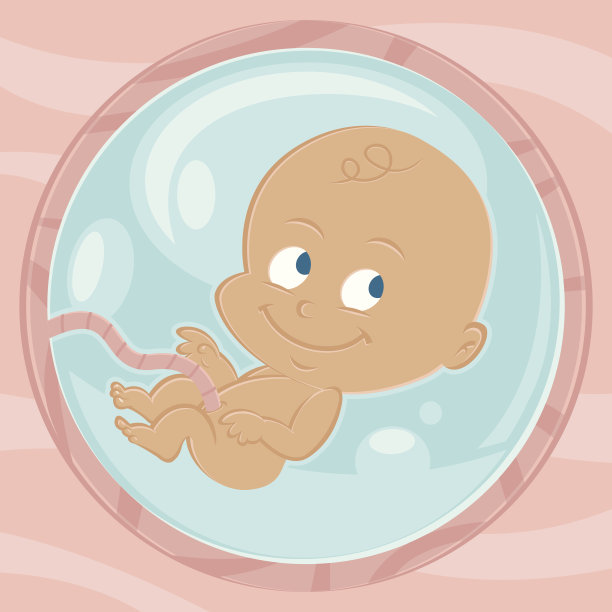 肚子里的婴儿图片下载