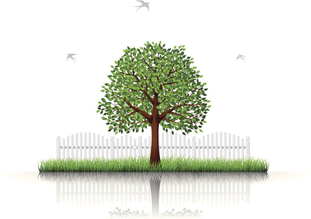 自然反射图片下载