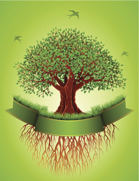 有根有旗的老树图片下载