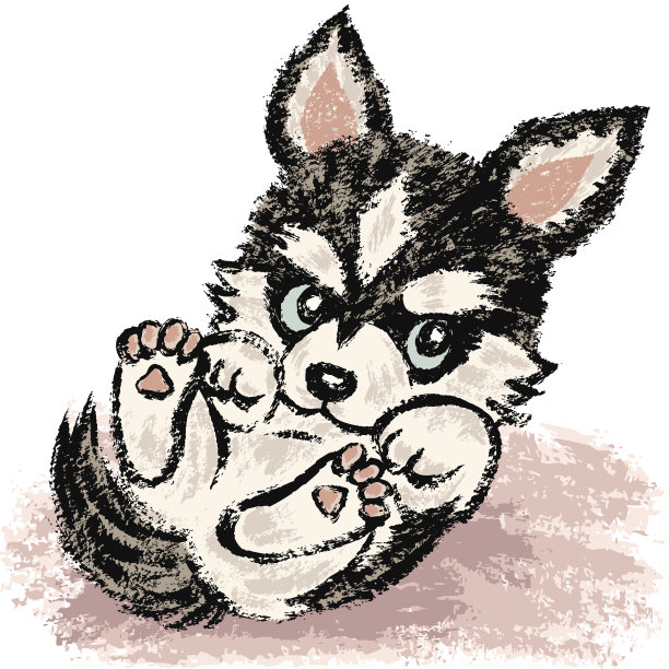 西伯利亚雪橇犬躺图片下载