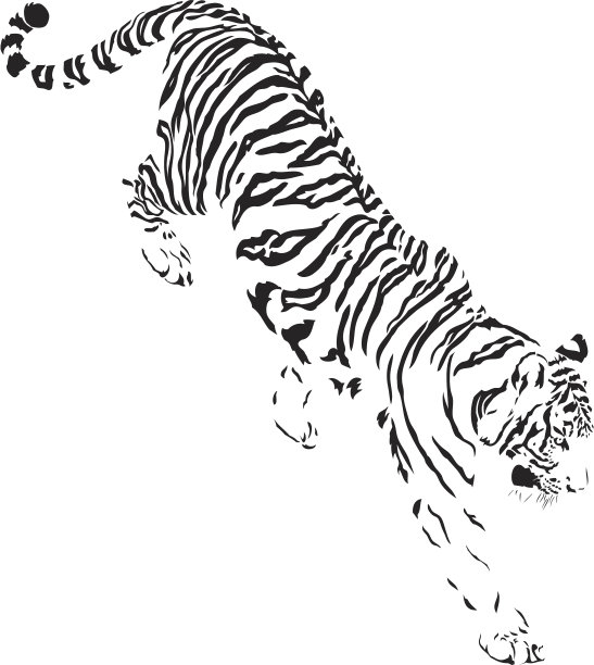老虎下行黑与白图片下载
