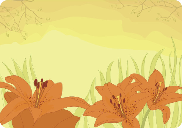 秋天的百合花图片下载