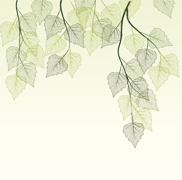 春天的叶子图片下载