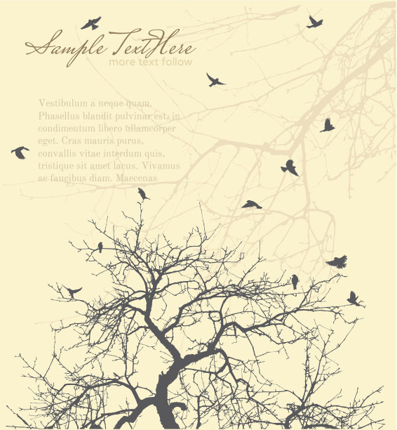 树枝上有麻雀图片下载