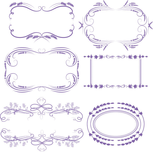 薰衣草帧图片下载