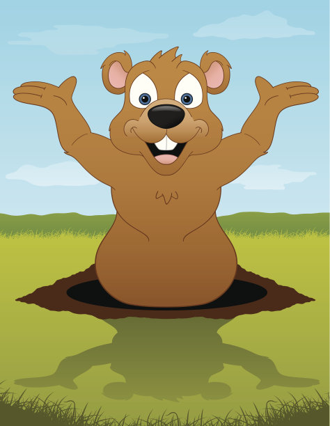 土拨鼠图片下载