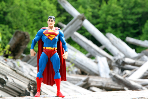 森林中的混乱图片下载