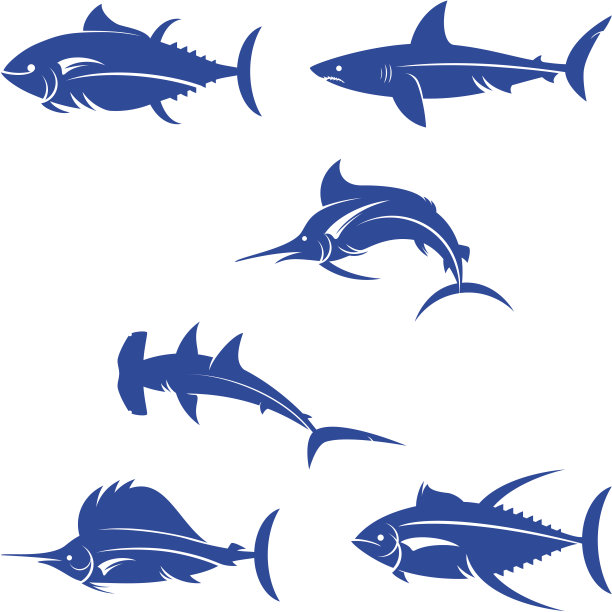 咸水游戏鱼的剪影图片下载