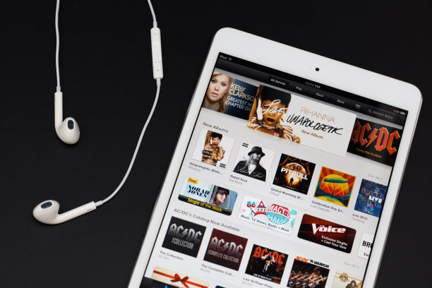 苹果iPad的迷你图片下载