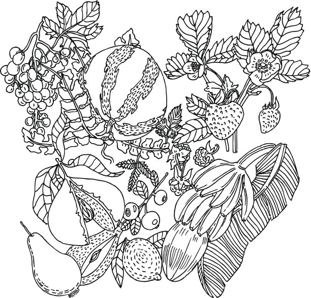 水果的背景图片下载