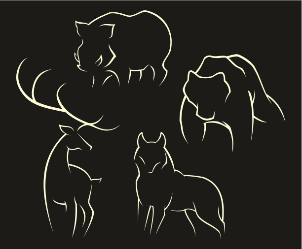 野生动物图片下载