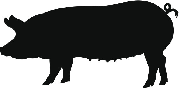 猪图片下载