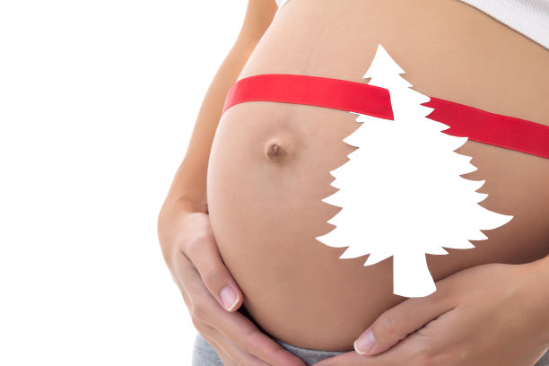 带着红缎带和纸云杉图片下载