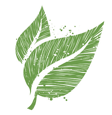 潦草的叶子图片下载