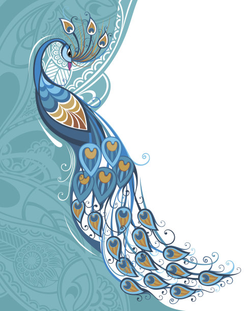 孔雀牌图片下载