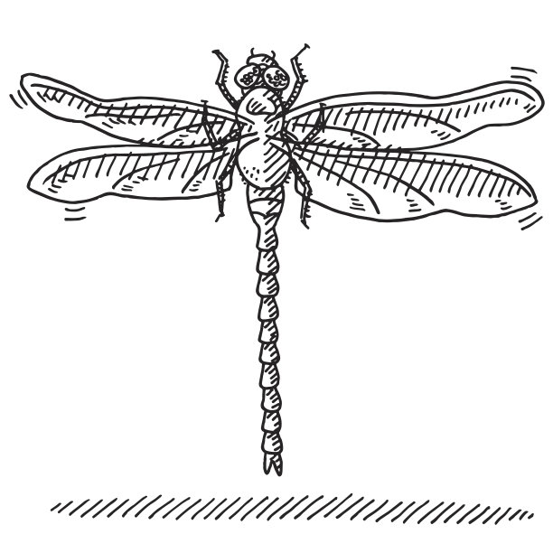 蜻蜓图图片下载