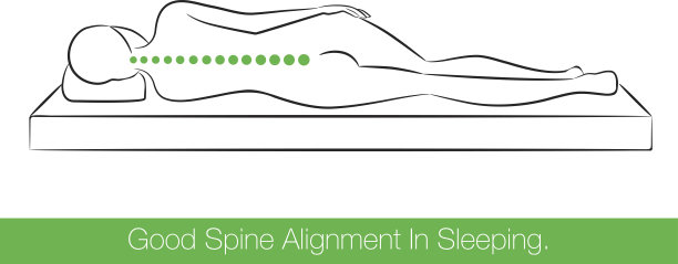 良好的脊柱在睡眠。图片下载