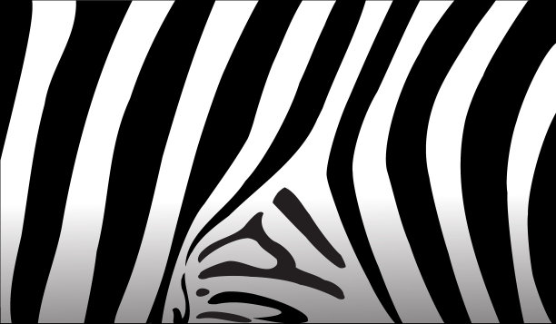 斑马彭定康图片下载