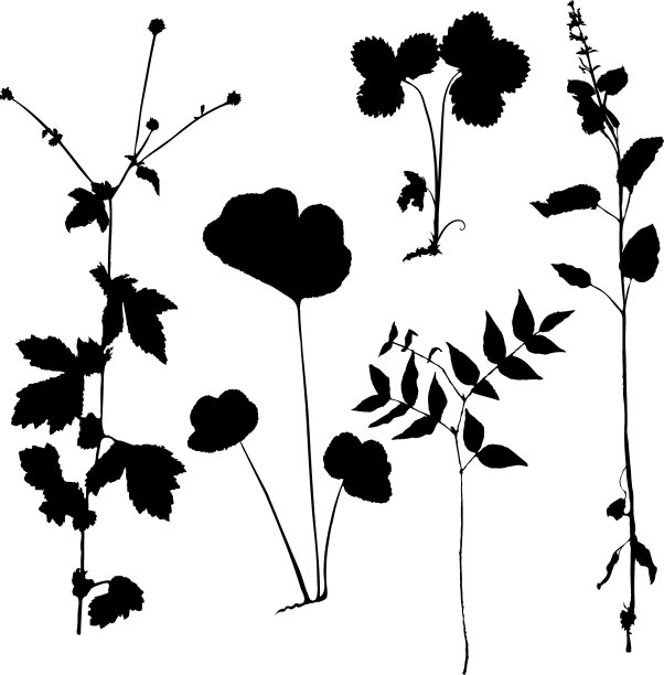 草轮廓图片下载