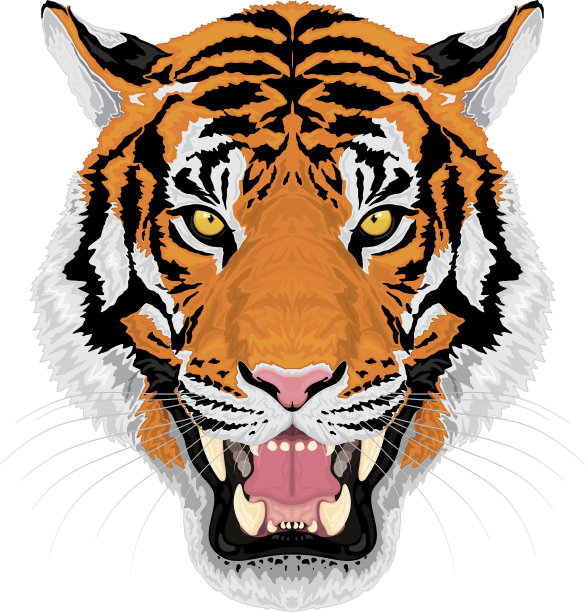 咆哮的老虎图片下载