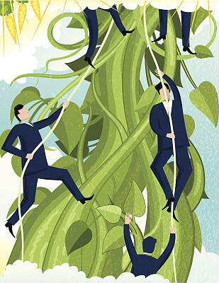 企业激励的概念。金萝卜豆茎图片下载