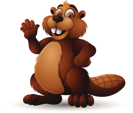 海狸的性格图片下载