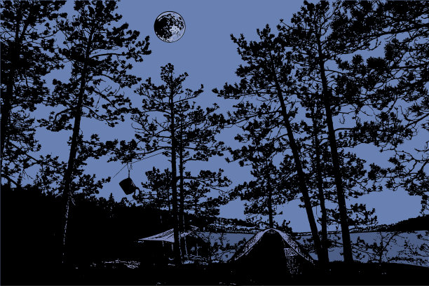 满月之夜的荒野露营地图片下载