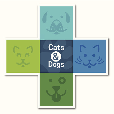 猫和狗图片下载