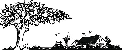 的果树图片下载