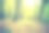 秋天森林景观的复古照片图片下载