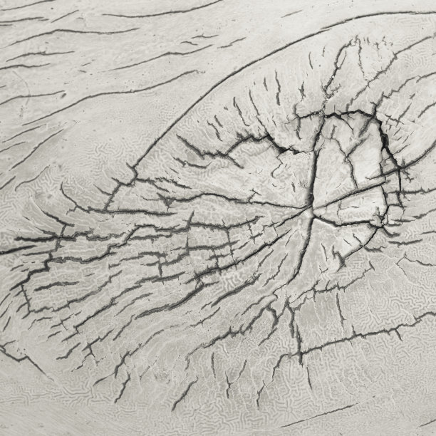 木材底面图片下载