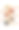 香草和香料的选择图片下载