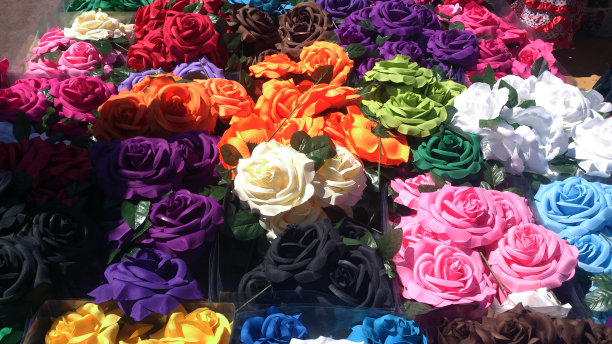 所有颜色的玫瑰图片下载