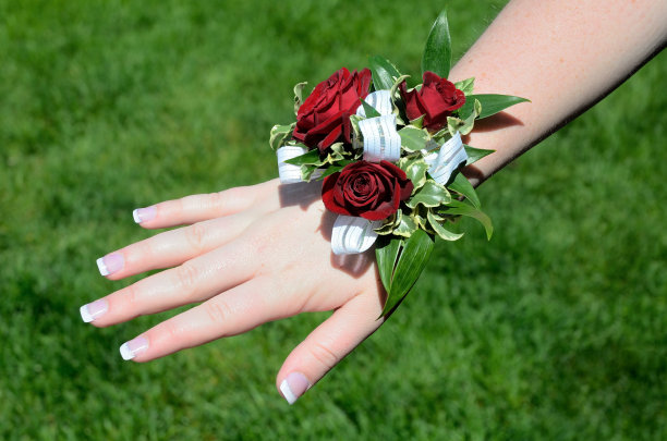 手腕科萨奇图片下载