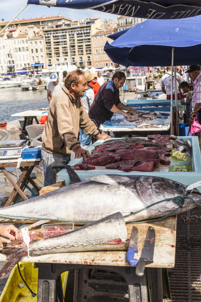 渔民在马赛老港卖新鲜的鱼图片下载