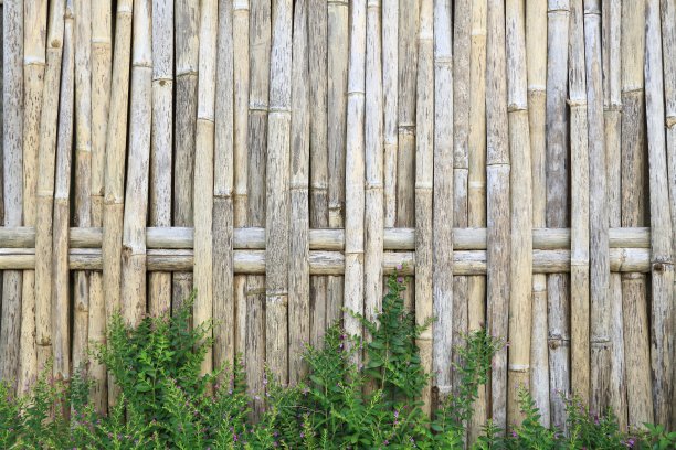 农村的竹篱图片下载