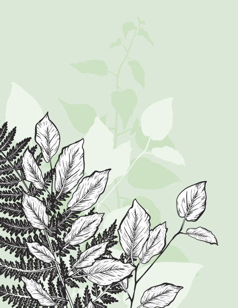 植物花卉卡片模板图片下载