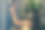 美丽健康的女人在健身房健身女孩在健身图片下载