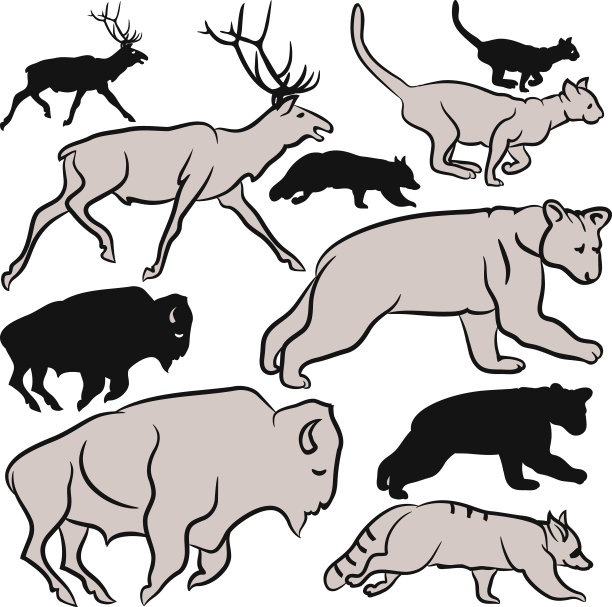 野生动物图片下载