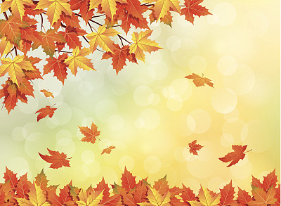 秋天背景素材图片