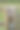 自由漫游的土地标志。图片下载