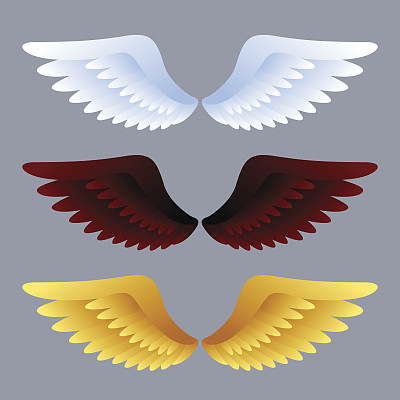翅膀图片下载