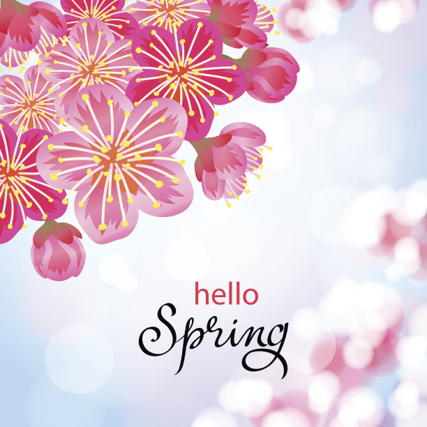 春天的桃花图片下载